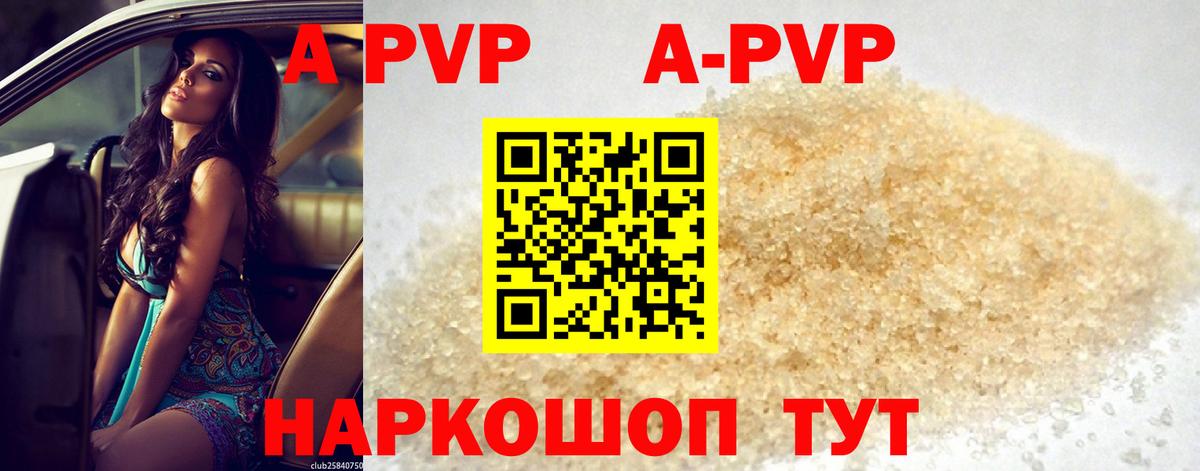 Alfa_PVP СК Дмитров