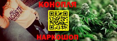 мет Можга