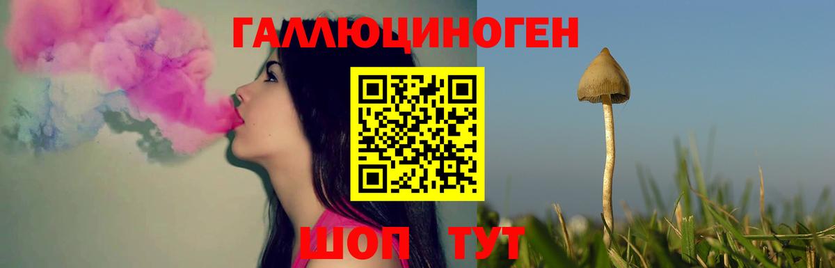 Дмитров  Галлюциногенные грибы GOLDEN TEACHER  где купить наркоту  Вход с VPN 